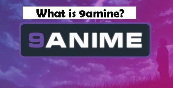 A Brief Introduction to 9anime