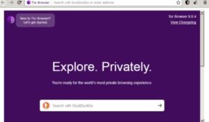 anonymous browser tor даркнет